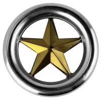 Кольцо декоративное нержавеющее AISI 304 Ø120 №20.2 (с золотой вставкой)