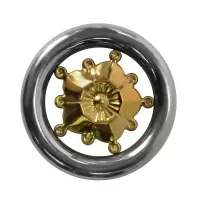 Кольцо декоративное AISI 304 Ø97 №3.1 (с золотой вставкой)