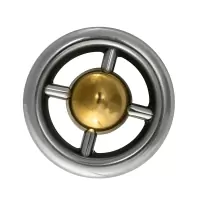 Кольцо декоративное AISI 304 Ø97 №2.1 (с золотой вставкой)