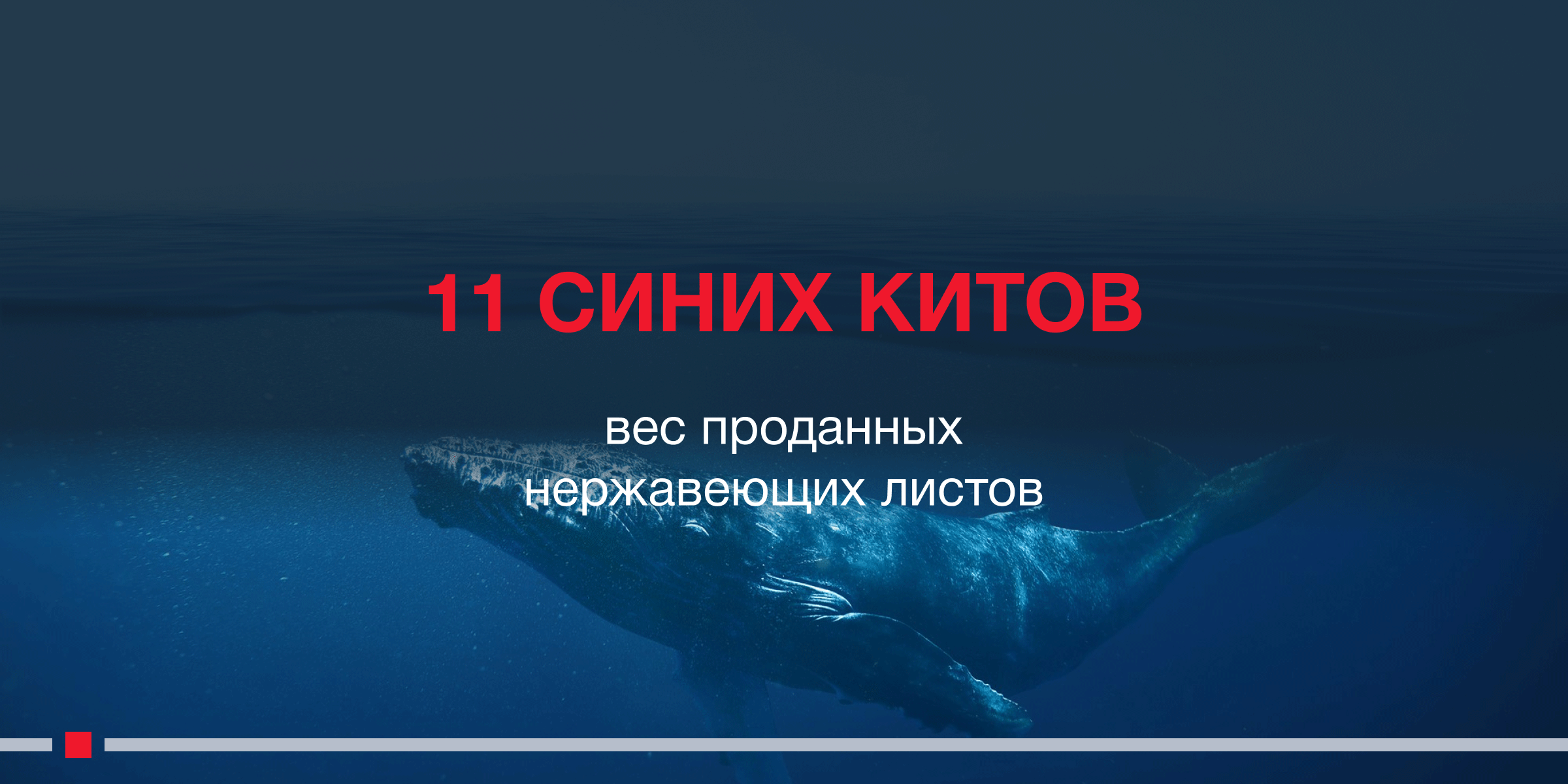 Общий вес листов нержавеющей стали сравним с 11-ю синими китами