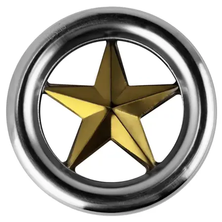 Кольцо декоративное нержавеющее AISI 304 Ø120 №20.2 (с золотой вставкой)